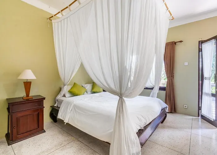 Bamboo Bali 3 *